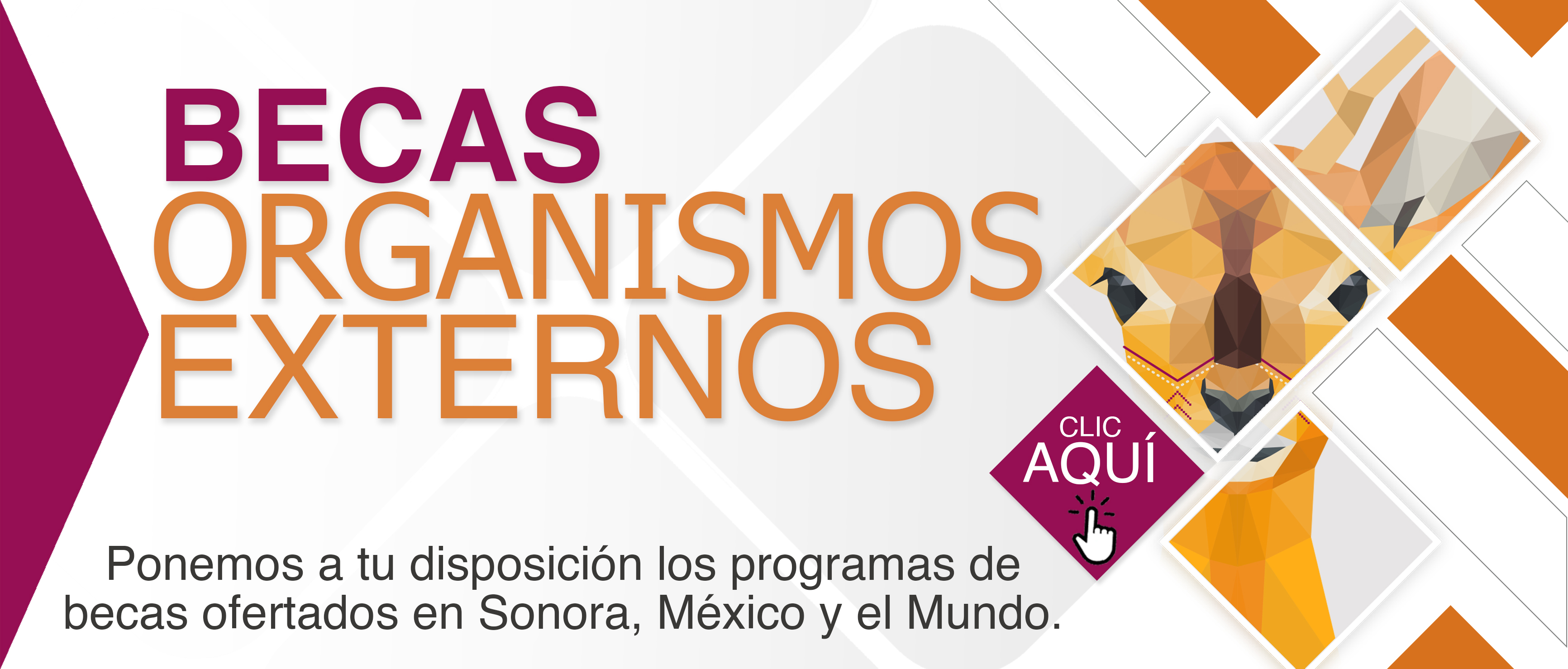 BANNER_web_becas_externas