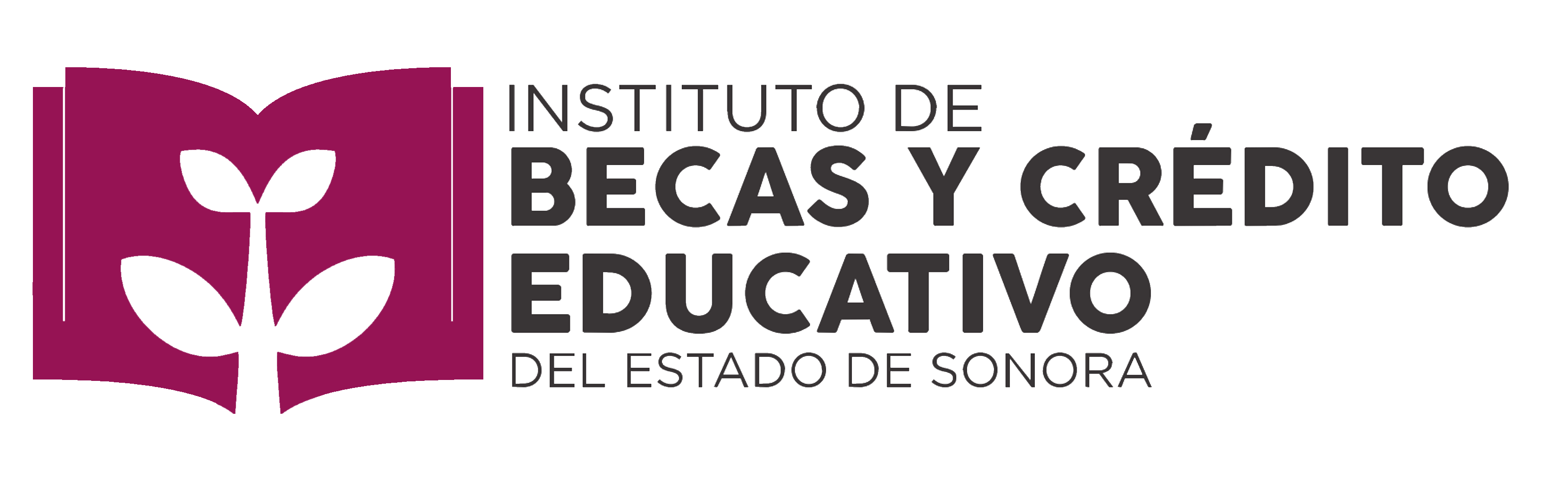 Instituto de Becas y Crédito Educativo del Estado de Sonora